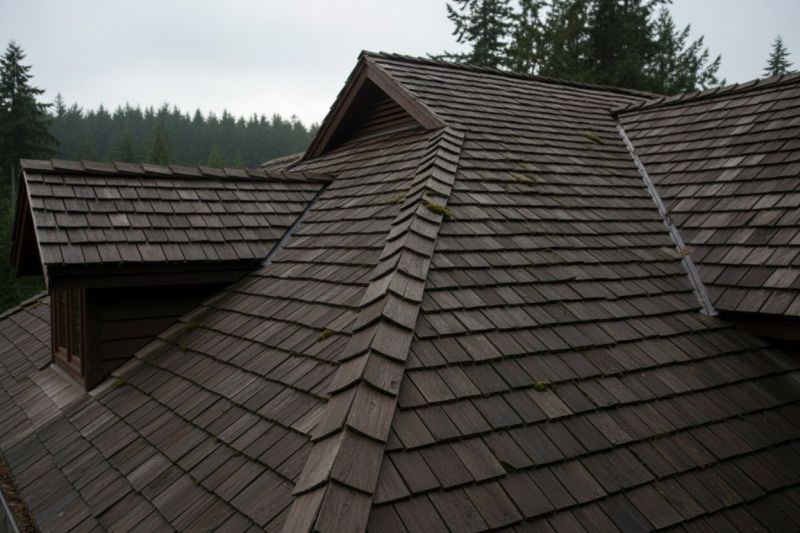 Wood Shake Roof Replacement in Fredericksburg, VA