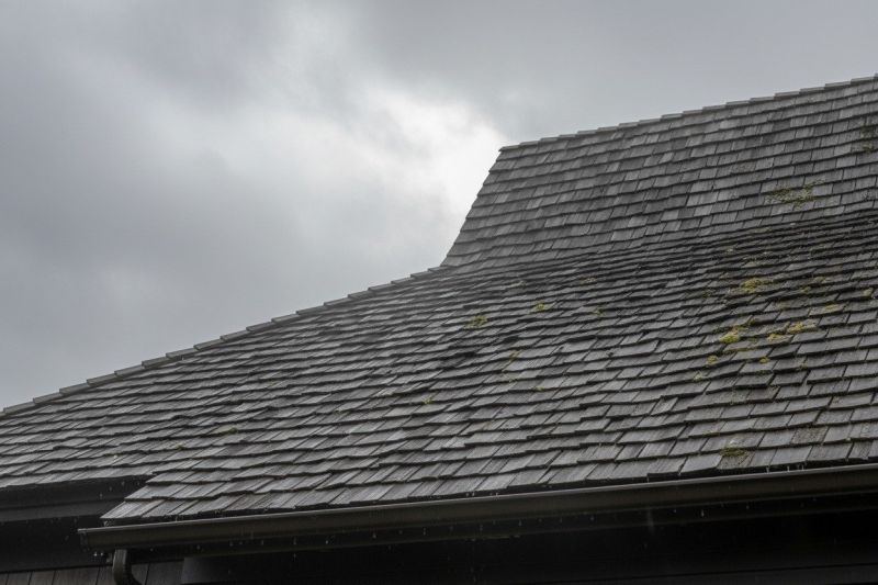 Wood Shingle Roof Replacement in Fredericksburg, VA